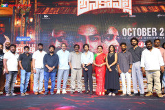 Anakapalli-Pre-Release-Event-19