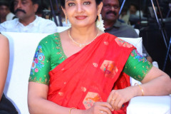 Anakapalli-Pre-Release-Event-8