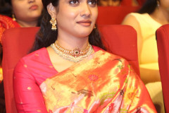 Chennai-LoveStory-Pre-Release-Event-4