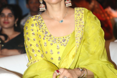 Kannappa-Grand-Pre-Release-Event-12