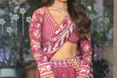 Mithra-Mandali-Pre-Release-Event-4