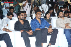 Mandaadi-Pre-Release-Event-22