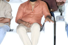 Mandaadi-Pre-Release-Event-7