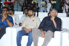Mandaadi-Pre-Release-Event-9