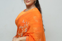 Rashi-Singh-At-Transfer-Trimurthulu-Trailer-Launch-4