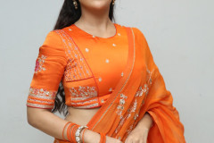 Rashi-Singh-At-Transfer-Trimurthulu-Trailer-Launch-5