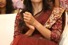 Sing-Geetham-Golden-Blockbuster-Success-Meet-5
