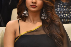 Saree-Movie-Pre-Release-Event-12