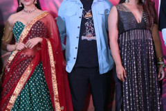 Swayambhu-Teaser-Launch-Event-15