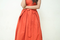 Teju-Ashwini-At-Nawab-Cafe-Title-Press-Meet-16