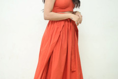 Teju-Ashwini-At-Nawab-Cafe-Title-Press-Meet-17