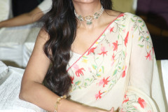 Telusu-Kada-Pre-Release-Event-48
