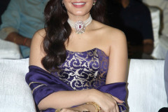 Telusu-Kada-Pre-Release-Event-64