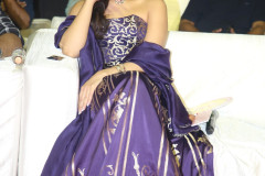 Telusu-Kada-Pre-Release-Event-74