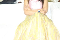 Telusu-Kada-Pre-Release-Event-76