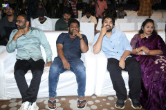 Vishnu-Vinyasam-Pre-Release-Press-Meet-3