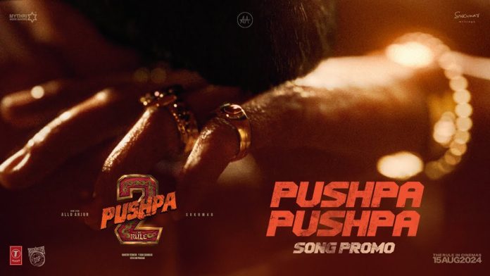 Promo Of Pushpa First Single Ignites Fire